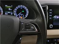 Skoda Karoq 1.6 TDI GreenTec Style DSG 115 Ps SUV