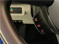 Suzuki Swift 1.2 MHEV PULSE CVT ÇİFT RENK