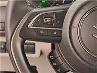 Suzuki Swift 1.2 MHEV PULSE CVT ÇİFT RENK