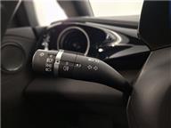 BYD Dolphin Design