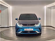 BYD Dolphin Design