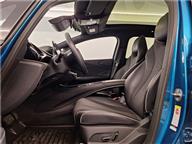 BYD Dolphin Design
