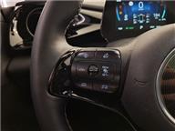 BYD Dolphin Design