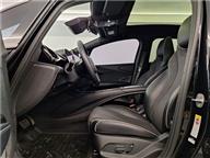 BYD Dolphin Design