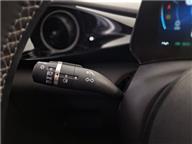 BYD Dolphin Design