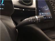 BYD Dolphin Design