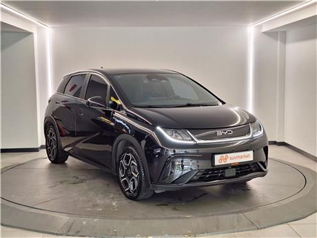 BYD Dolphin Design