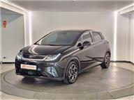 BYD Dolphin Design